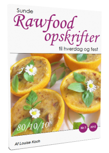 Sunde raw food opskrifter forside