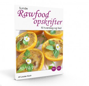 Sunde raw food opskrifter