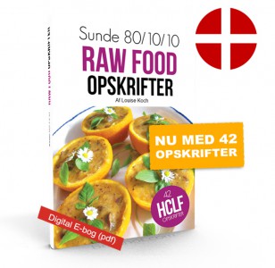 Sunde raw food opskrifter (E-bog)