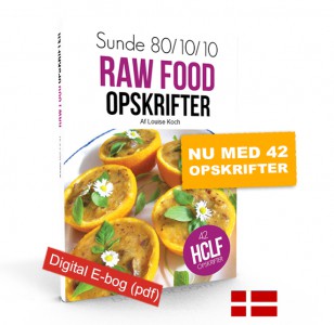Sunde raw food opskrifter (E-bog)