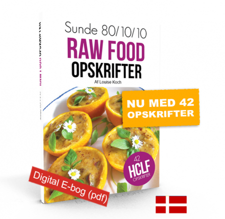 Sunde raw food opskrifter (E-bog)