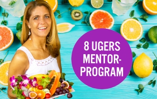 8 ugers mentorprogram