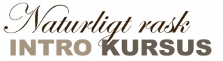 Intro kursus