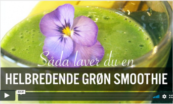 Grøn smoothie video træning - tilbud