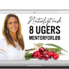 8 ugers mentorforløb
